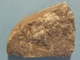 Kalkalge